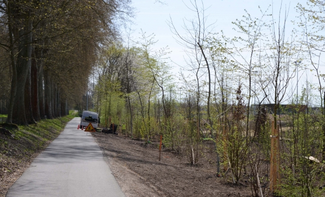 Plantation de végétaux, Illkirch-Graffenstaden