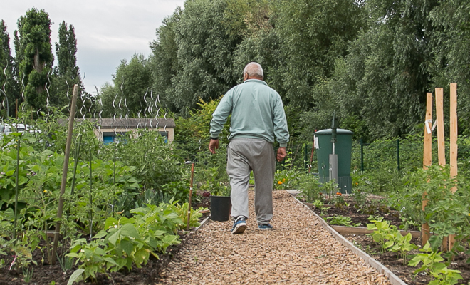 Aménagement d'un Potager Urbain, Bischheim